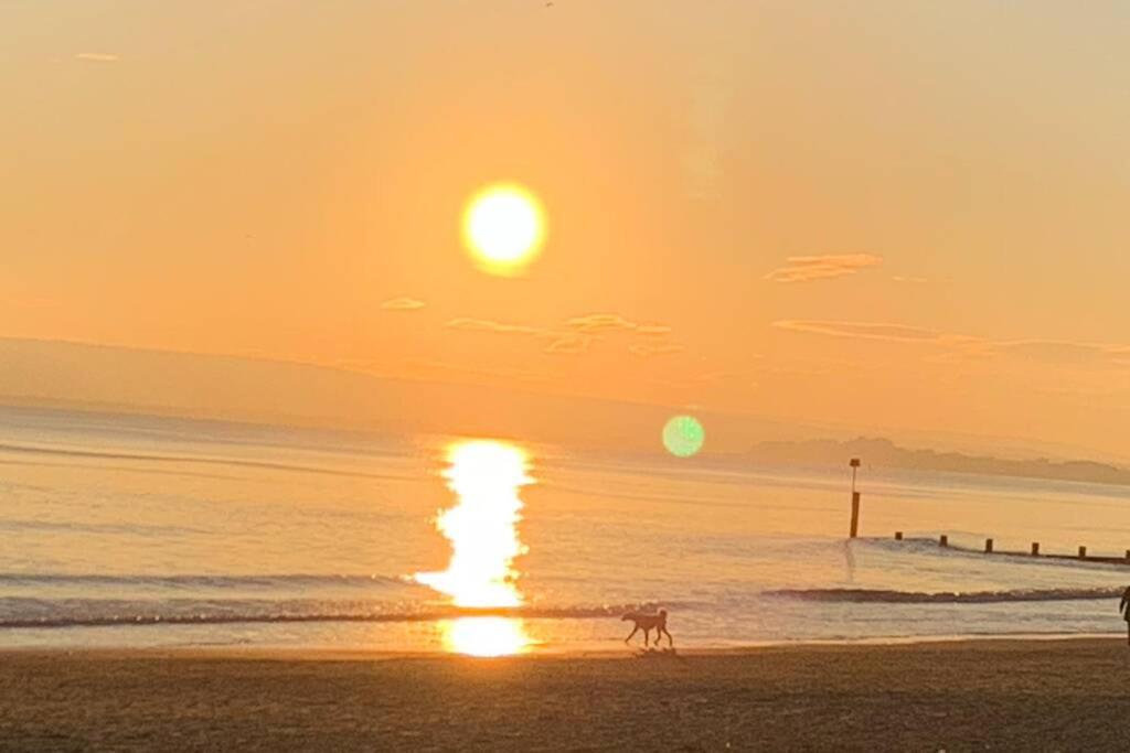 Bournemouth Nr Town Beach Train Coach Shops Lovely Entire Apartment Allows Quiet Good Dogs 외부 사진