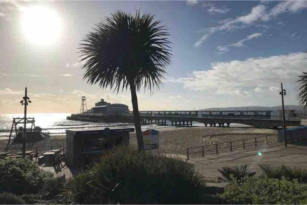 Bournemouth Nr Town Beach Train Coach Shops Lovely Entire Apartment Allows Quiet Good Dogs 외부 사진