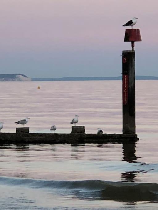 Bournemouth Nr Town Beach Train Coach Shops Lovely Entire Apartment Allows Quiet Good Dogs 외부 사진